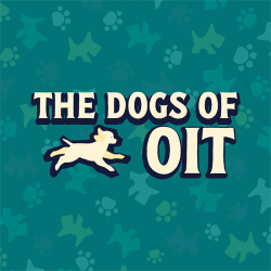 Presenting the Dogs of OIT