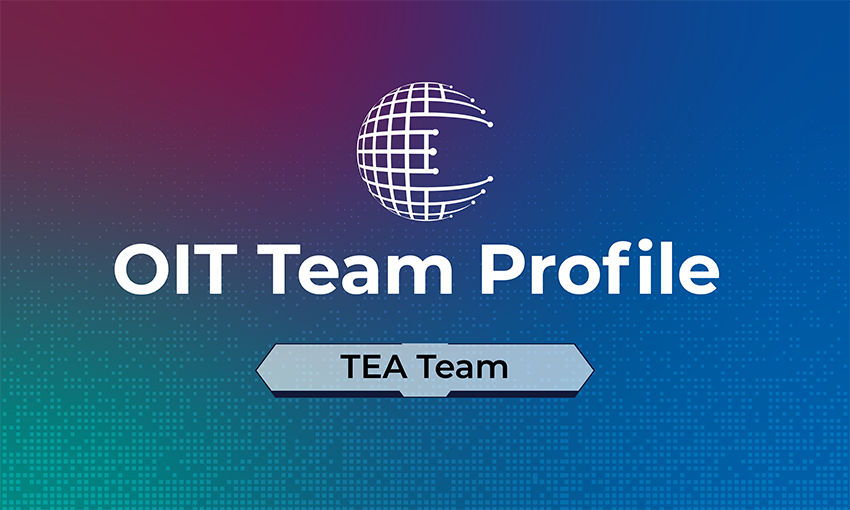 OIT Team Profile text on a pink and blue background with a globe